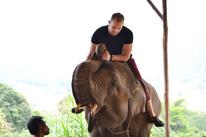 Nicholas Cook-Rostie on an elephant