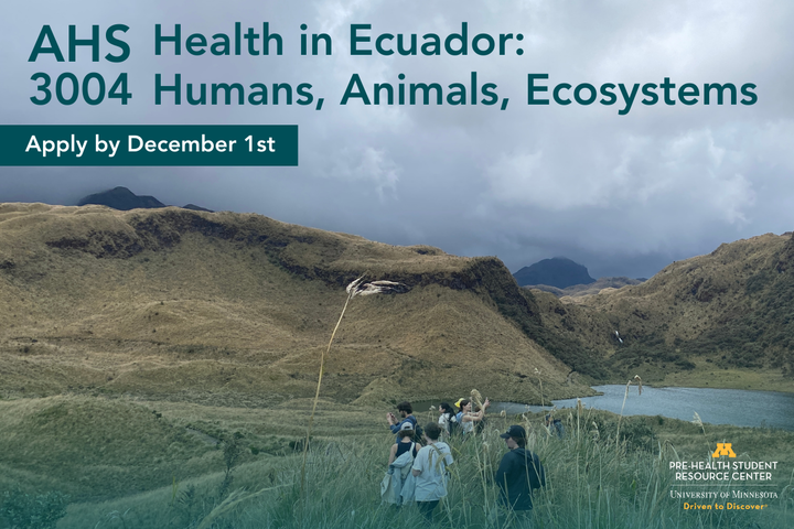 AHS 3004: Health in Ecuador - Humans, Animals, and Ecosystems; apply by December 1st 2023. Image is students walking in Ecuador. 